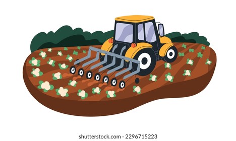 Inter-row cultivator loosening soil on farm field. Agriculture tractor, interrow weeder at farmland. Crop cultivation with rotary machine. Flat vector illustration isolated on white background