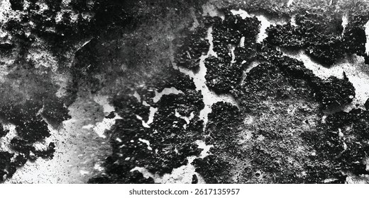 The Intersection of Chaos and Calm in Natural Texture

