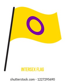 Intersex Flag Waving Vector Illustration Designed with Correct Color Scheme.