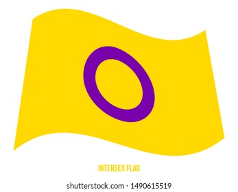 Intersex Flag Waving Vector Illustration Designed with Correct Color Scheme.
