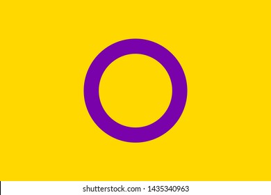 Intersex Pride flag. Vector illustration