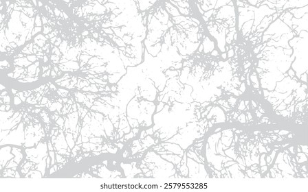 Intertwined Branches, A Monochromatic Abstract of Nature's Delicate Network Against a Stark White Canvas, Showcasing the Beauty of Bare Trees in a Minimalist Style