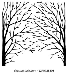 Intertwined Tree Branches