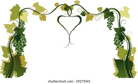 Intertwining branches of grapes, form the heart form