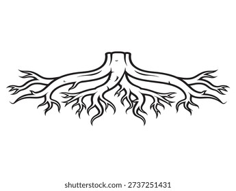 Interwoven root systems illustrated in botanical line design