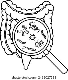 Intestinal Bacteria in a Magnifying Glass for Coloring. Microflora in the Large and Small Intestines. Vector Illustration of Human Organs