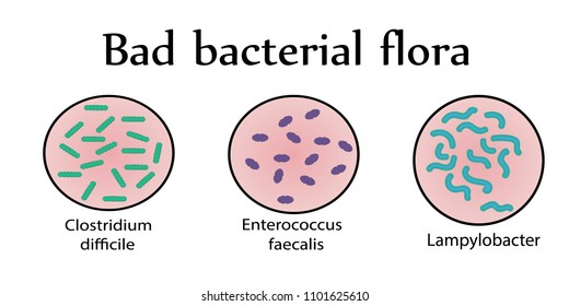 Intestinal bacterial flora. Bad bacteria. Vector illustration