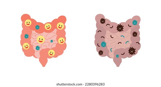 Intestinal environment Healthy and dirty intestines. Digestive internal organ.Vector illustration. Internal organs design element.