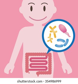 Intestinal flora, Gut flora, enteric bacteria, image illustration