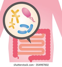 Intestinal flora, Gut flora, enteric bacteria, image illustration