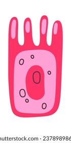 Intestinal Human Cell Vector Illustration