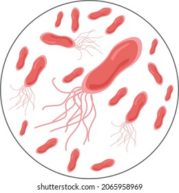 Intestinal infection illustration. Escherichia coli. Escherichia koli. Poor intestinal microflora. Microbial contamination.