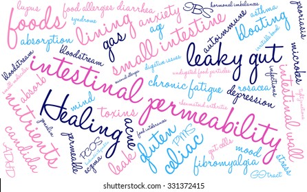 Intestinal Permeability word cloud on a white background. 