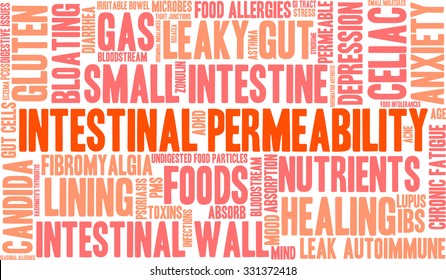 Intestinal Permeability word cloud on a white background. 