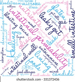 Intestinal Permeability word cloud on a white background. 