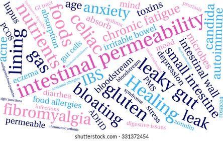 Intestinal Permeability word cloud on a white background. 