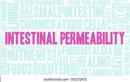 Intestinal Permeability word cloud on a white background. 