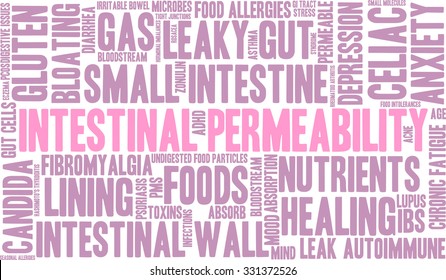 Intestinal Permeability word cloud on a white background. 