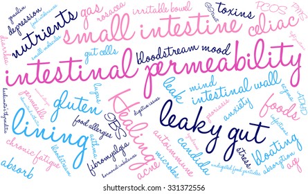 Intestinal Permeability word cloud on a white background. 