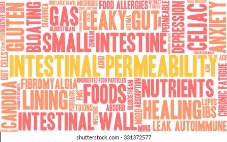 Intestinal Permeability word cloud on a white background. 