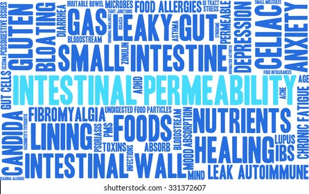 Intestinal Permeability word cloud on a white background. 