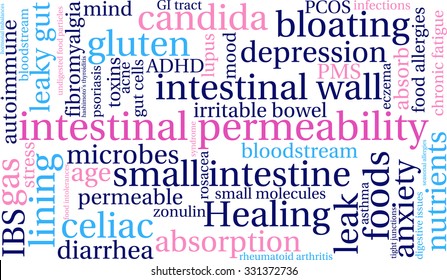 Intestinal Permeability word cloud on a white background. 