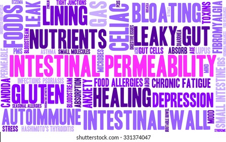 Intestinal Permeability word cloud on a white background. 