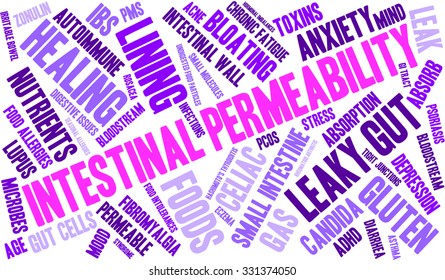 Intestinal Permeability word cloud on a white background. 