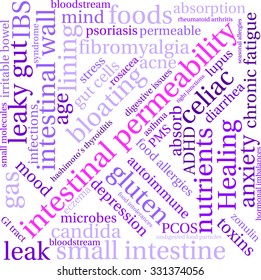 Intestinal Permeability word cloud on a white background. 