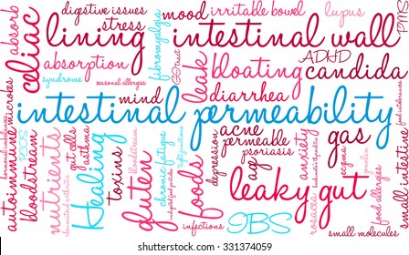 Intestinal Permeability word cloud on a white background. 