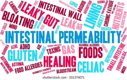 Intestinal Permeability word cloud on a white background. 