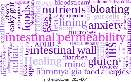 Intestinal Permeability word cloud on a white background. 