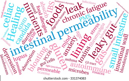 Intestinal Permeability word cloud on a white background. 