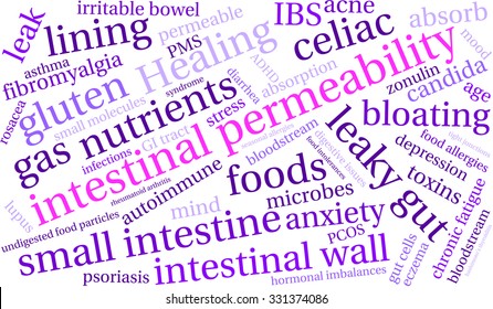 Intestinal Permeability word cloud on a white background. 