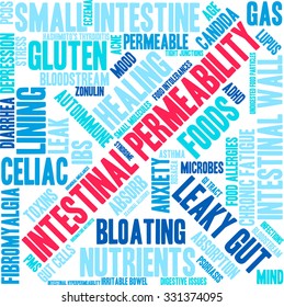 Intestinal Permeability word cloud on a white background. 