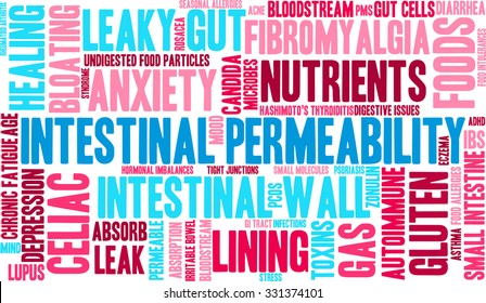 Intestinal Permeability word cloud on a white background. 