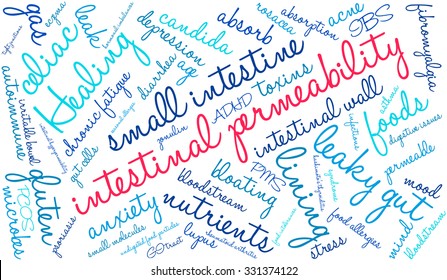 Intestinal Permeability word cloud on a white background. 