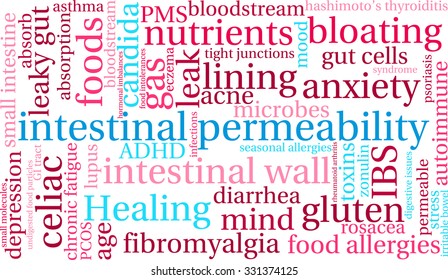 Intestinal Permeability word cloud on a white background. 