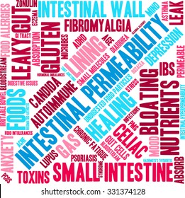 Intestinal Permeability word cloud on a white background. 