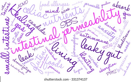 Intestinal Permeability word cloud on a white background. 
