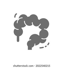 Intestinal tract, colon, intestines, human organ grey icon.