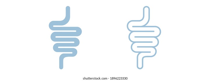 Intestinal tract icon isolated on white background