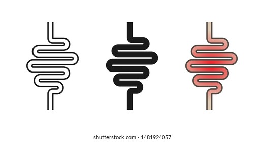 Intestinal tract icon. vector illustration