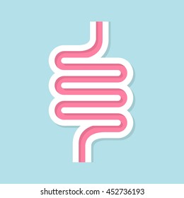 Intestinal vector design