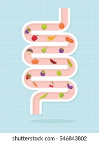 Intestinal vector design ,healthy concept ,Vector illustration.