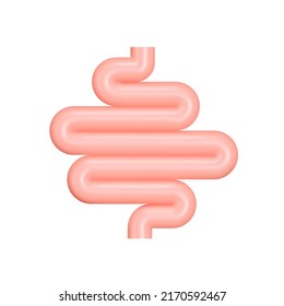 Intestine 3d icon. Guts. Small intestine. Isolated object on a transparent background