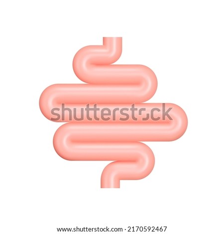 Intestine 3d icon. Guts. Small intestine. Isolated object on a transparent background