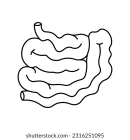 Intestine, anatomy flat line icon. Human Intestine vector illustration. Outline pictograms for medical clinic