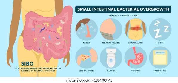 Intestine Bacteria Gut Pain Eating IBS Large Fungal Fungi Tract H. Pylori C. Diff Cancer Gas Colon Rectal Vomiting Spastic Mucous Colitis Viral Acid Level Celiac Crohn's Abdomen Yeast System Germs