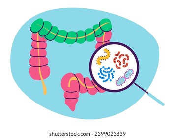 Intestine colon gut flora disease search concept. Vector design graphic illustration

